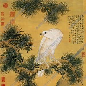 郎世寧超高清《白鷹圖》國(guó)畫百度云網(wǎng)盤下載