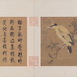 毛益超高清《榴枝黃鳥(niǎo)圖》國(guó)畫(huà)百度云網(wǎng)盤(pán)下載