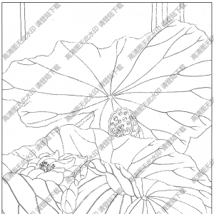 荷花線描畫(huà)24高清大圖下載