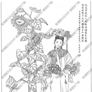 古代女子白描線稿75高清圖片下載