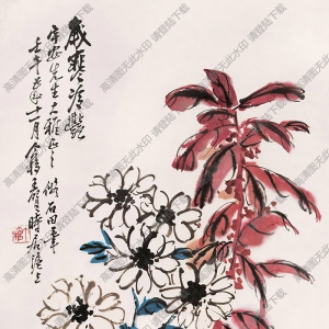 王個簃作品 花卉3 高清大圖下載