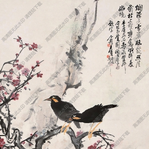 王個簃作品 花鳥 高清大圖下載