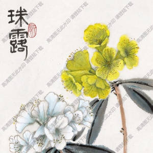 蕭淑芳國畫作品 珠露 高清下載