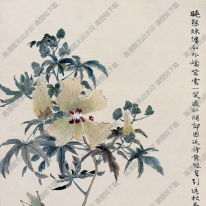 陸抑非作品 秋葵草蟲(chóng) 高清大圖下載