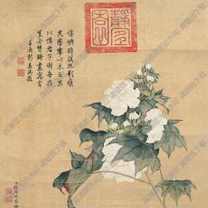 錢維城作品 木芙蓉 高清大圖下載