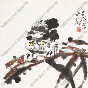 孫竹籬國(guó)畫(huà)作品 貓頭鷹5 高清下載