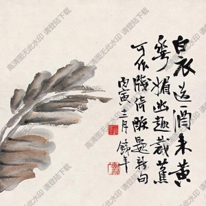 符鑄國(guó)畫(huà) 花卉 高清大圖下載