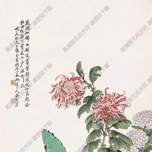 黃山壽作品 菊石圖(5) 高清大圖下載