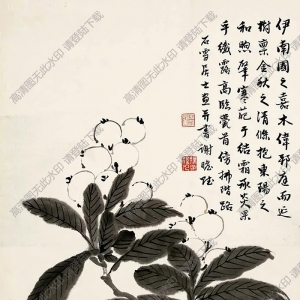 徐宗浩國(guó)畫(huà) 枇杷 高清大圖下載