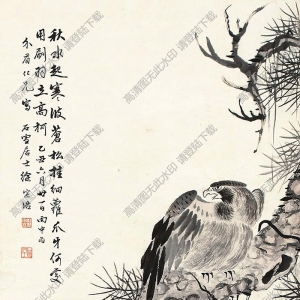 徐宗浩國(guó)畫(huà) 松鷹圖 高清大圖下載