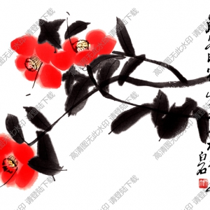 齊白石國(guó)畫 山茶花 歲寒時(shí)節(jié) 此花亦梅花之友 高清大圖下載